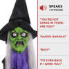 Haunted Hill Farm HHWITCH-39HLS - 4